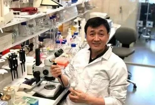 14位院士眼中的氢科学(图14)