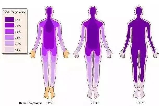 达圆邦暖磁鞋 | 冬日保暖“小太阳”(图4)