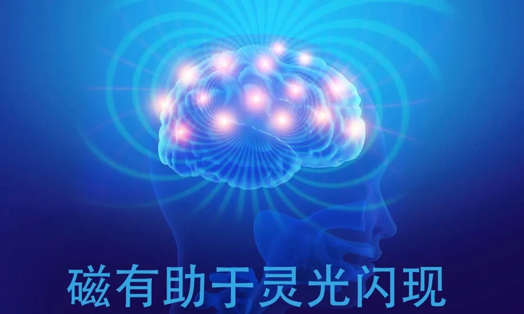 达圆邦能量代言帽(图8)