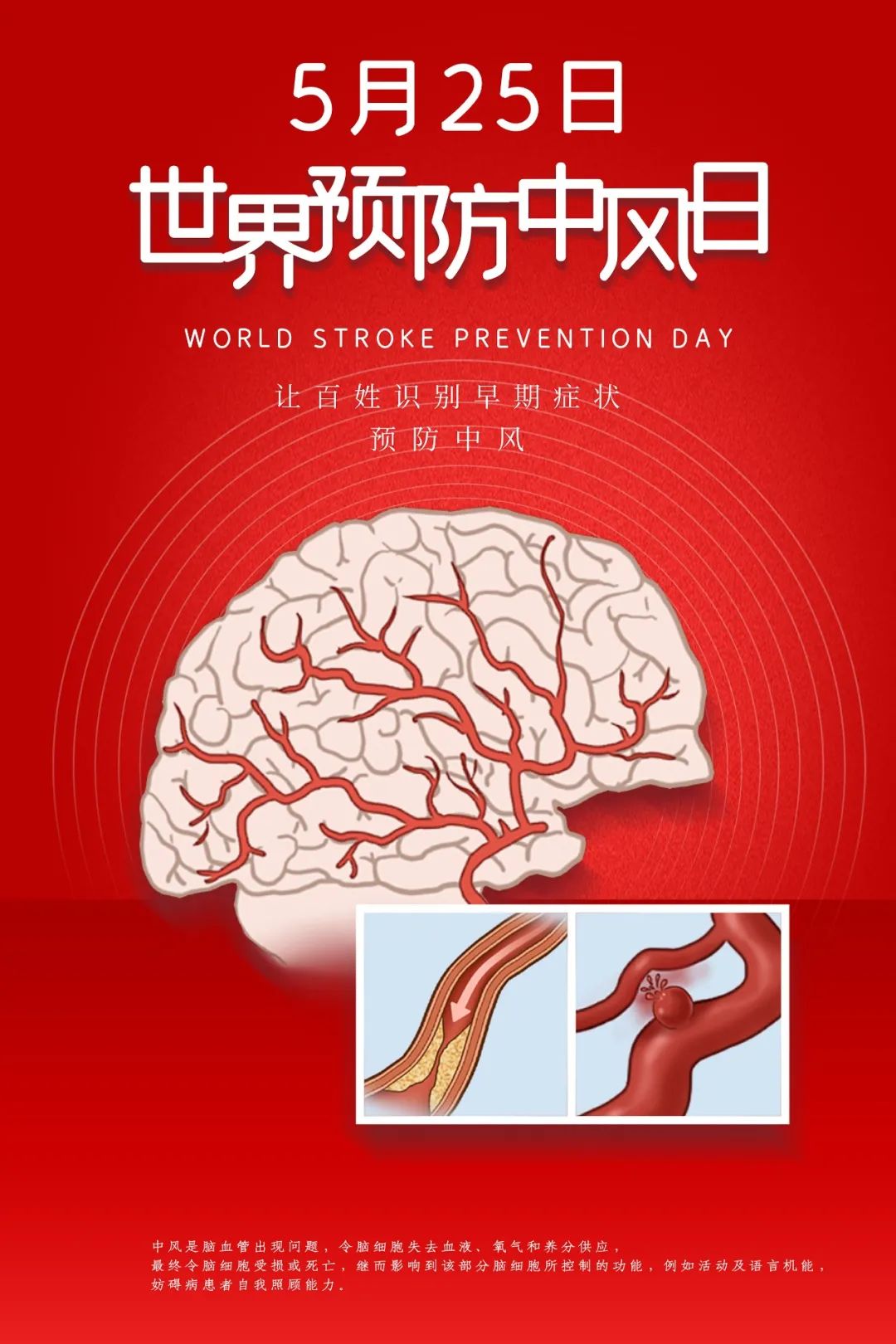 达圆邦能量代言帽(图5)