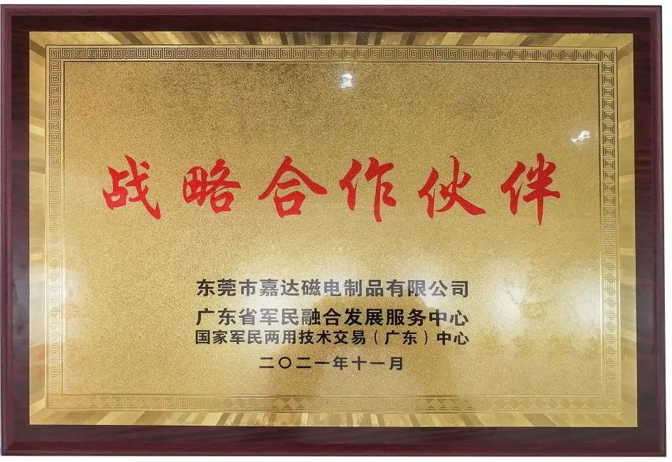 可行走在雪域高原边防线上的磁暖鞋(图3)